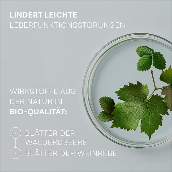 Hepatodoron® Tabletten