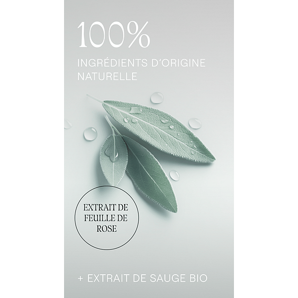 Lotion Tonique Purifiante