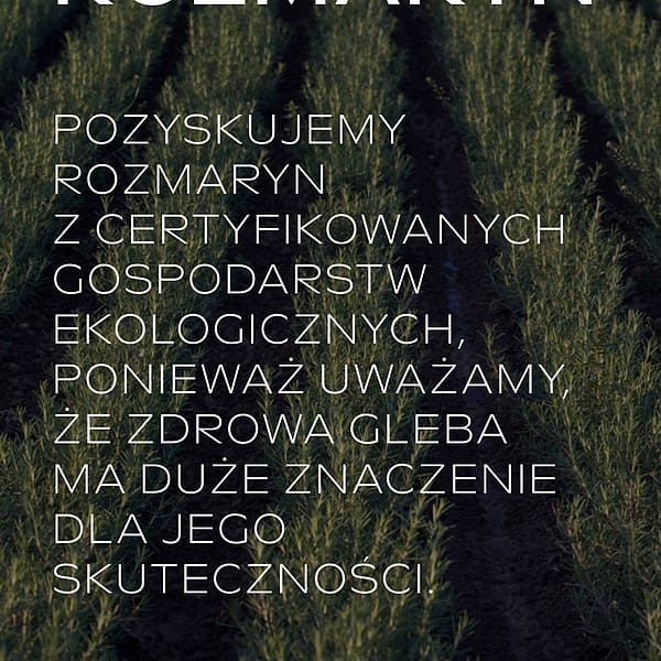 Rozmarynowy tonik do włosów