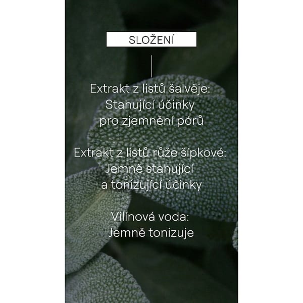 Hloubkově čisticí tonikum