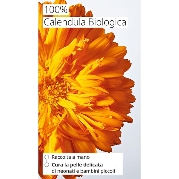 Baby Crema Fluida Calendula