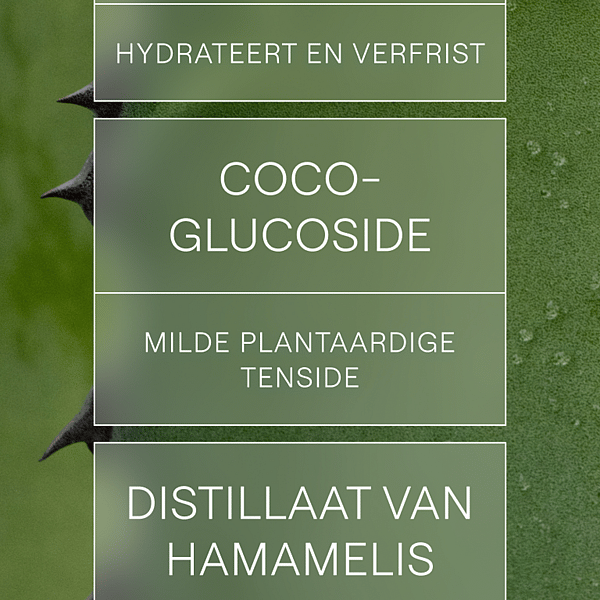 Verfrissende Reinigingsgel