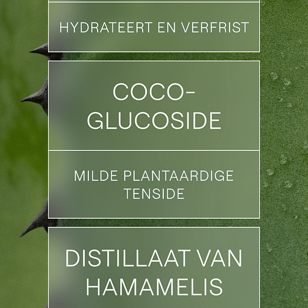 Gel Nettoyant Rafraîchissant