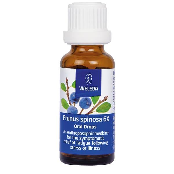 Prunus spinosa 6X Oral Drops