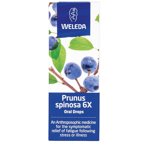 Prunus spinosa 6X Oral Drops