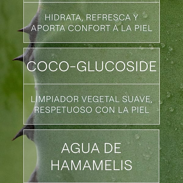 Gel Limpiador Refrescante
