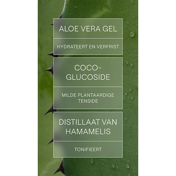 Verfrissende Reinigingsgel