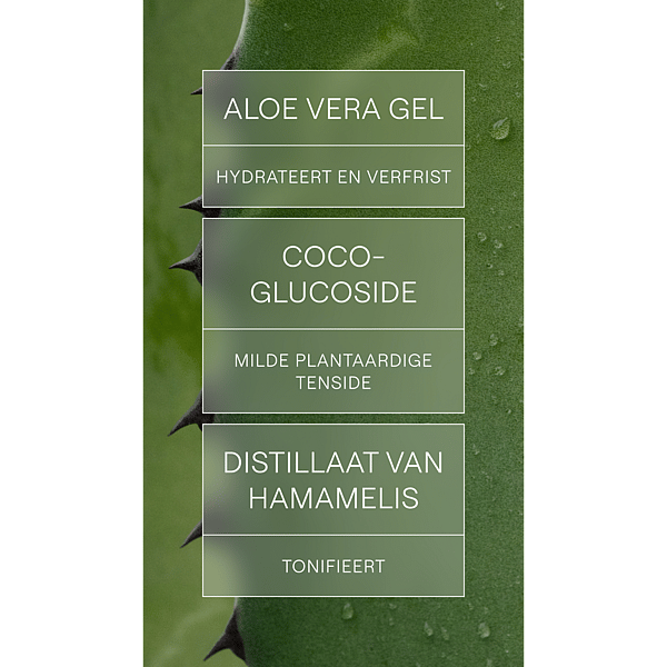 Gel Nettoyant Rafraîchissant
