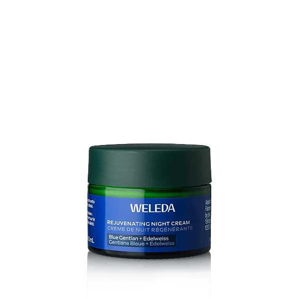 Rejuvenating Night Cream