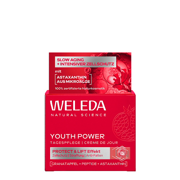 Youth Power Tagespflege Granatapfel