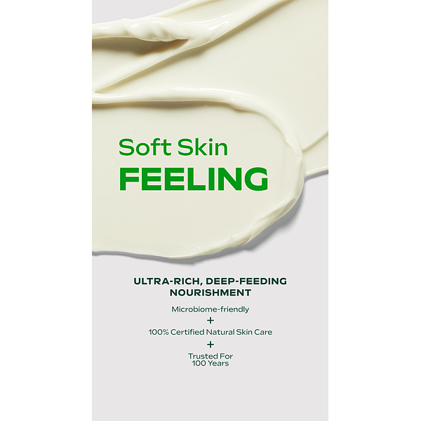 Travel Skin Food