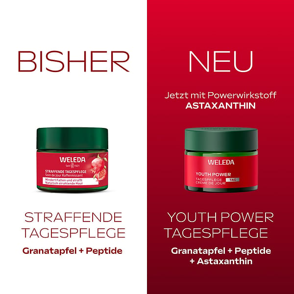 Youth Power Tagespflege Granatapfel