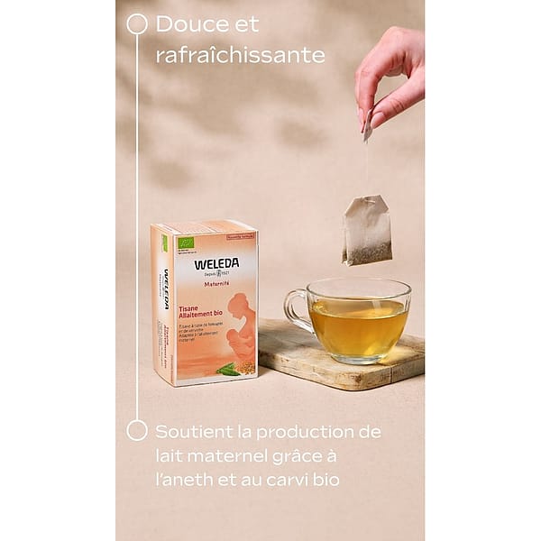 Tisane Allaitement bio