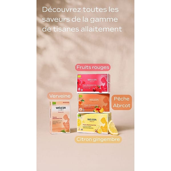 Tisane Allaitement bio Fruits rouges