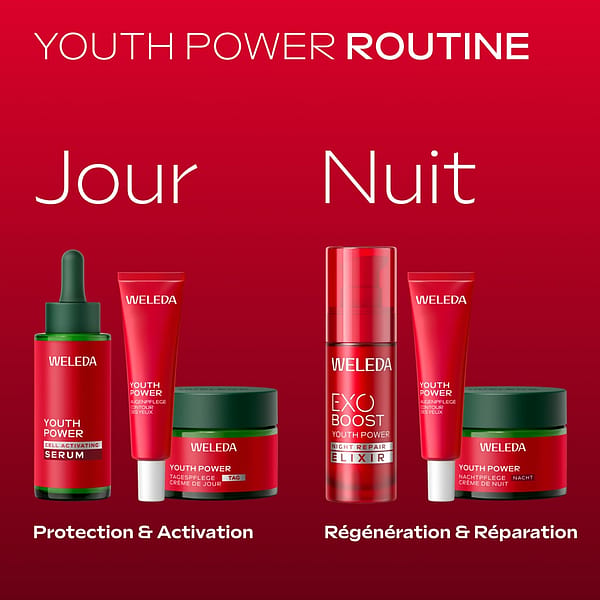 Youth Power Crème de Nuit Grenade