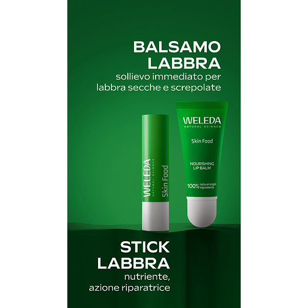 Skin Food Lip Stick