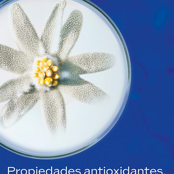 Protocolo Antimanchas 2026