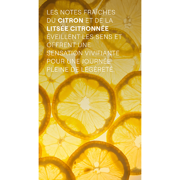 Refresh Crème de Douche
