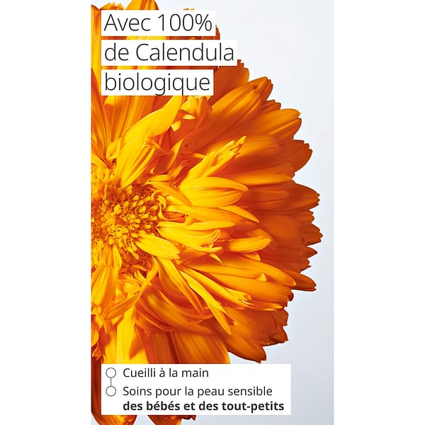 Calendula Baby Crème Visage