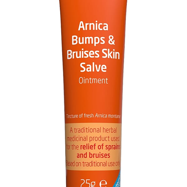 Arnica Bumps & Bruises Skin Salve Ointment