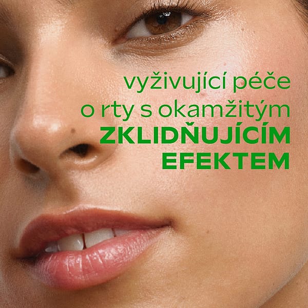 Skin Food Lip Stick