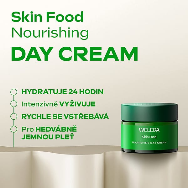 Skin Food Nourishing Day Cream