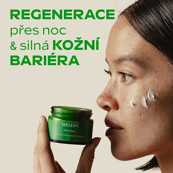 Skin Food Nourishing Night Cream