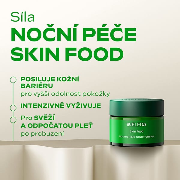 Skin Food Nourishing Night Cream
