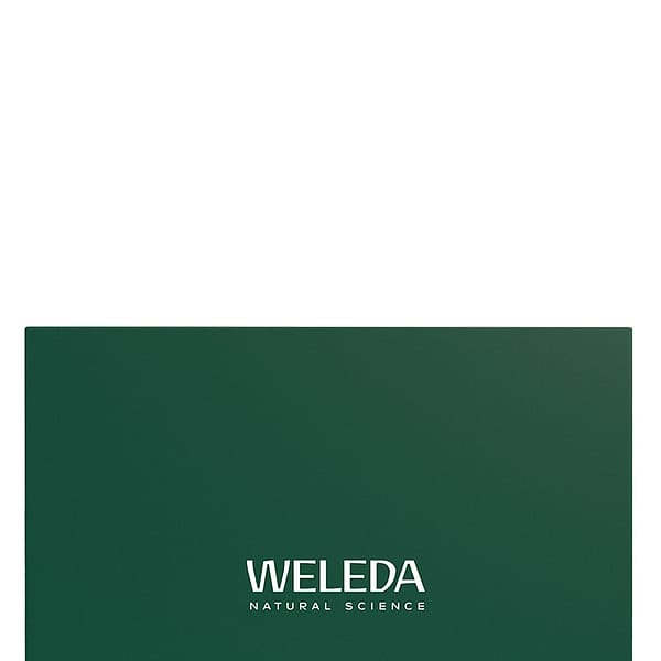 Empty Large Green Gift Box