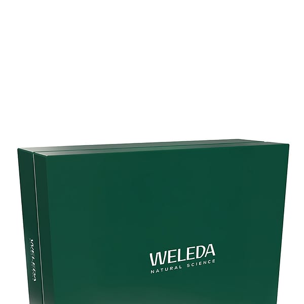 Empty Large Green Gift Box