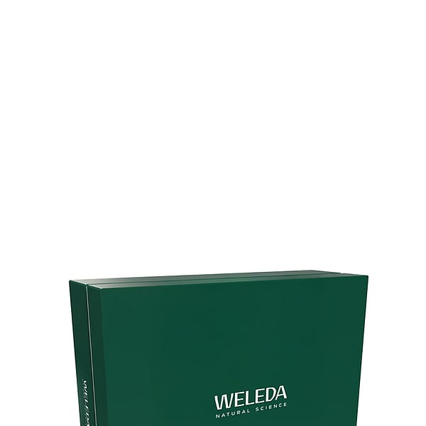 Empty Small Green Gift Box