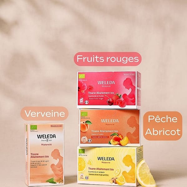 Tisane Allaitement bio