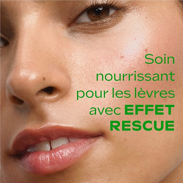 Skin Food Stick Lèvres
