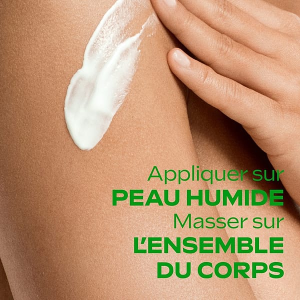 Skin Food Lait Corps