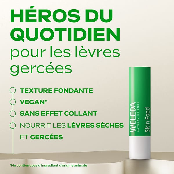 Skin Food Stick Lèvres