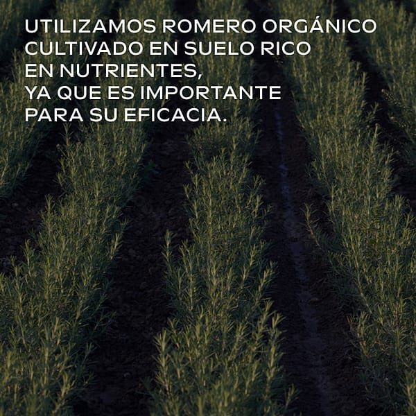 Acondicionador Revitalizante de Romero 150ml