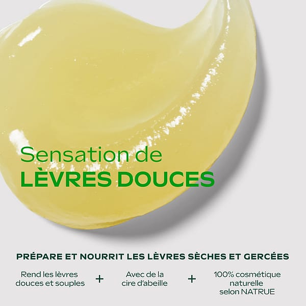 Skin Food Baume Lèvres