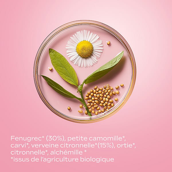 Tisane Bio Allaitement