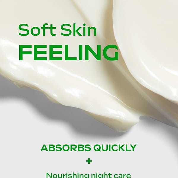 Skin Food Nourishing Night Cream