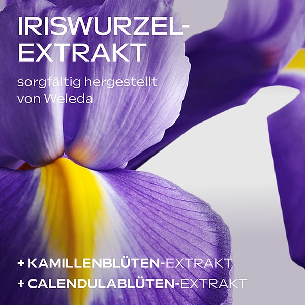 Iris Nachtpflege