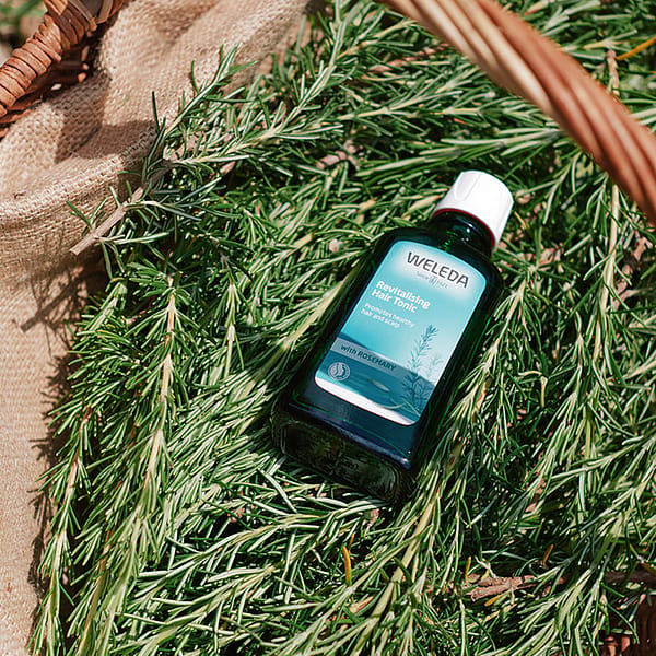 Weleda Rosemary Revitalising Hair Tonic on a bed of rosemary plants in a basket.