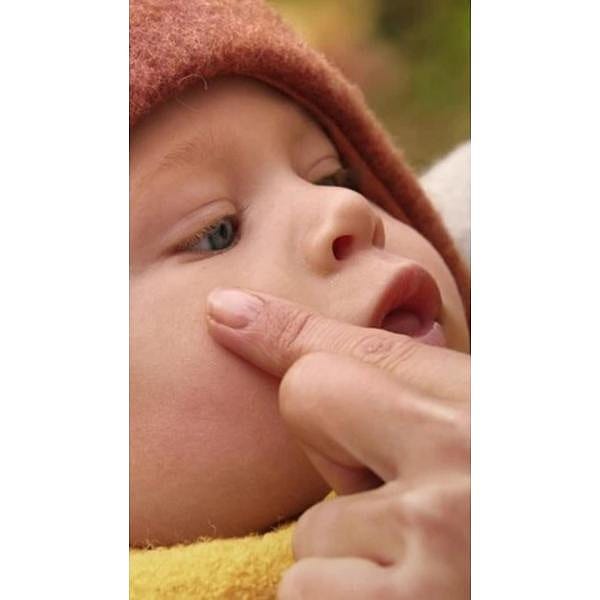 Calendula Alles-in-één Balsem