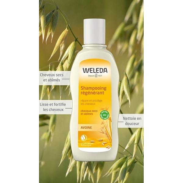 Shampooing régénérant à l'Avoine