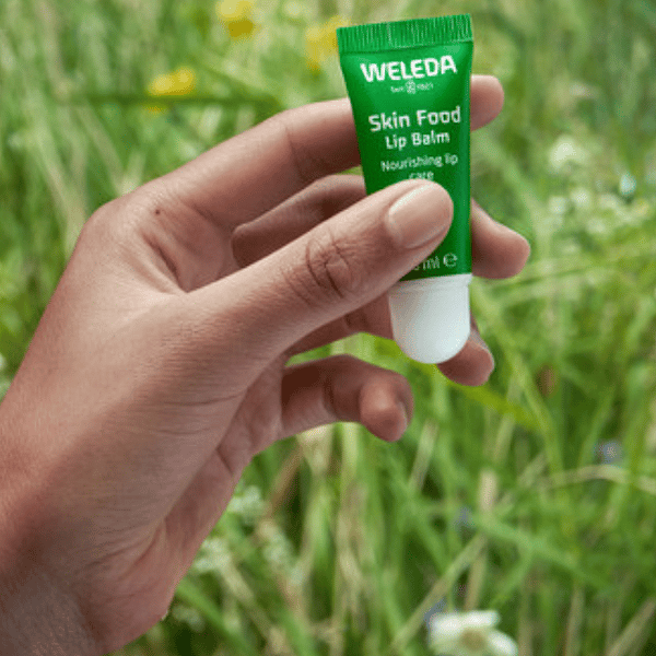 lip balm skin food de weleda en campo de flores