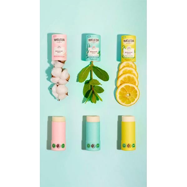 Trio déodorants solides