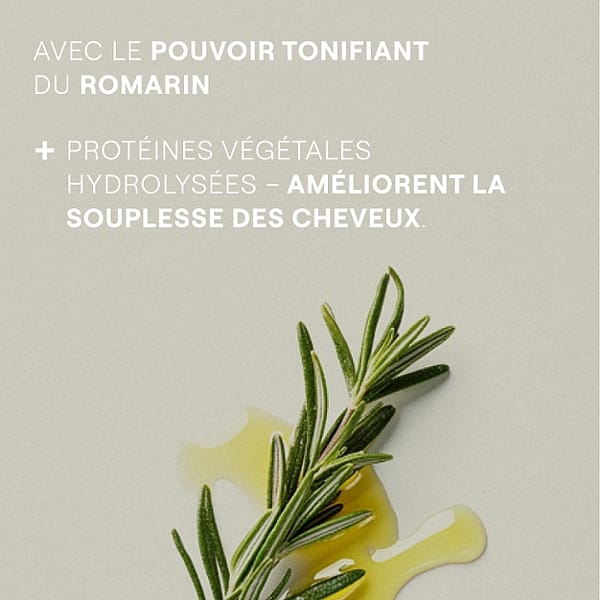 Avec le pouvoir tonifiant du romarin. Protéines végétales hydrolysées - améliorent la souplesse des cheveux.