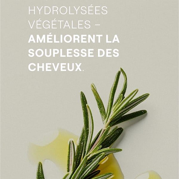 Après-Shampooing revitalisant au Romarin