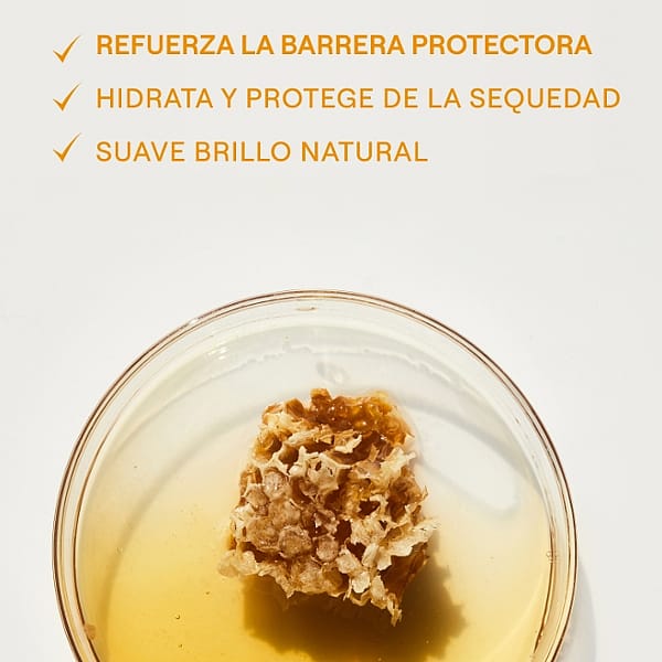 Protector Labial Everon