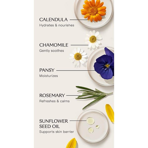 Skin Food Hydrating Face Mist