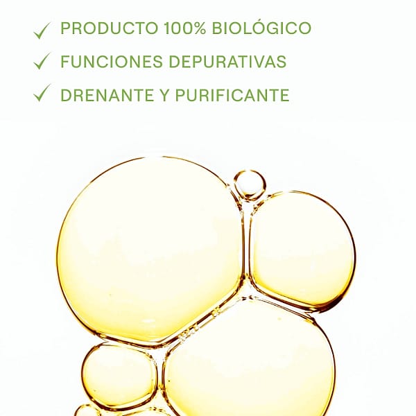 beneficios extracto de abedul